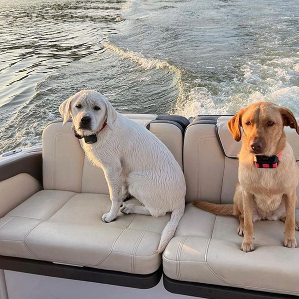 Boat rentals Norris Lake - pontoon boat rentals Norris Lake - party boat rentals Norris Lake - houseboat rentals Norris Lake - boat rentals near me - pontoon boat rentals near me - party boat rentals - houseboat rentals – Stardust Marina